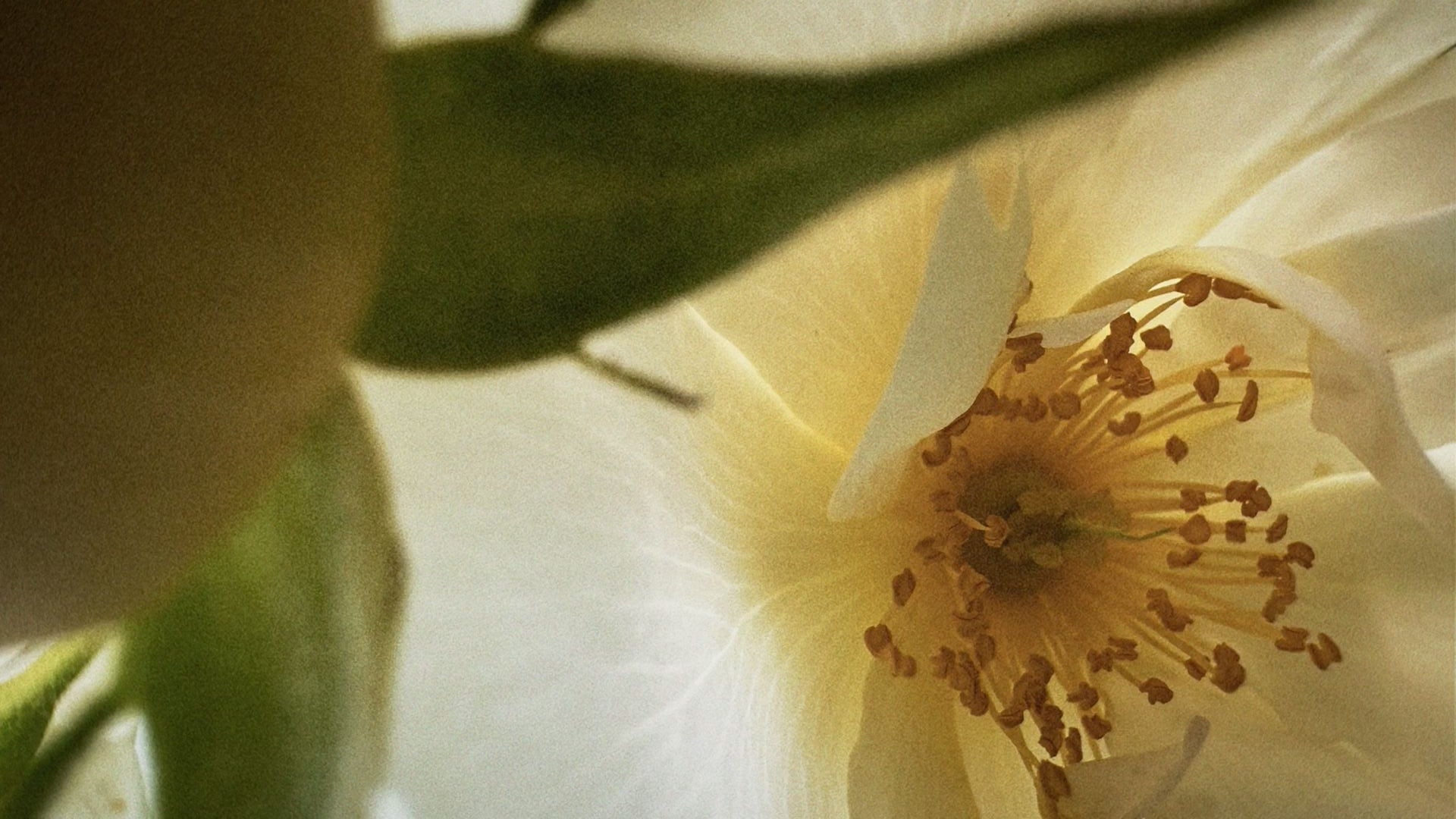 Is Your Metabolism Overworked Or Underfed?