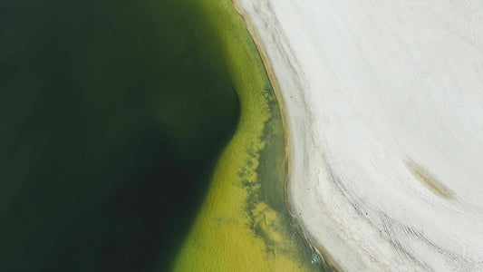 Why You Should Walk A 100 Steps After Your Meal