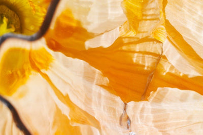 The Forgotten Power Of Routine In A World Addicted To Hacks.