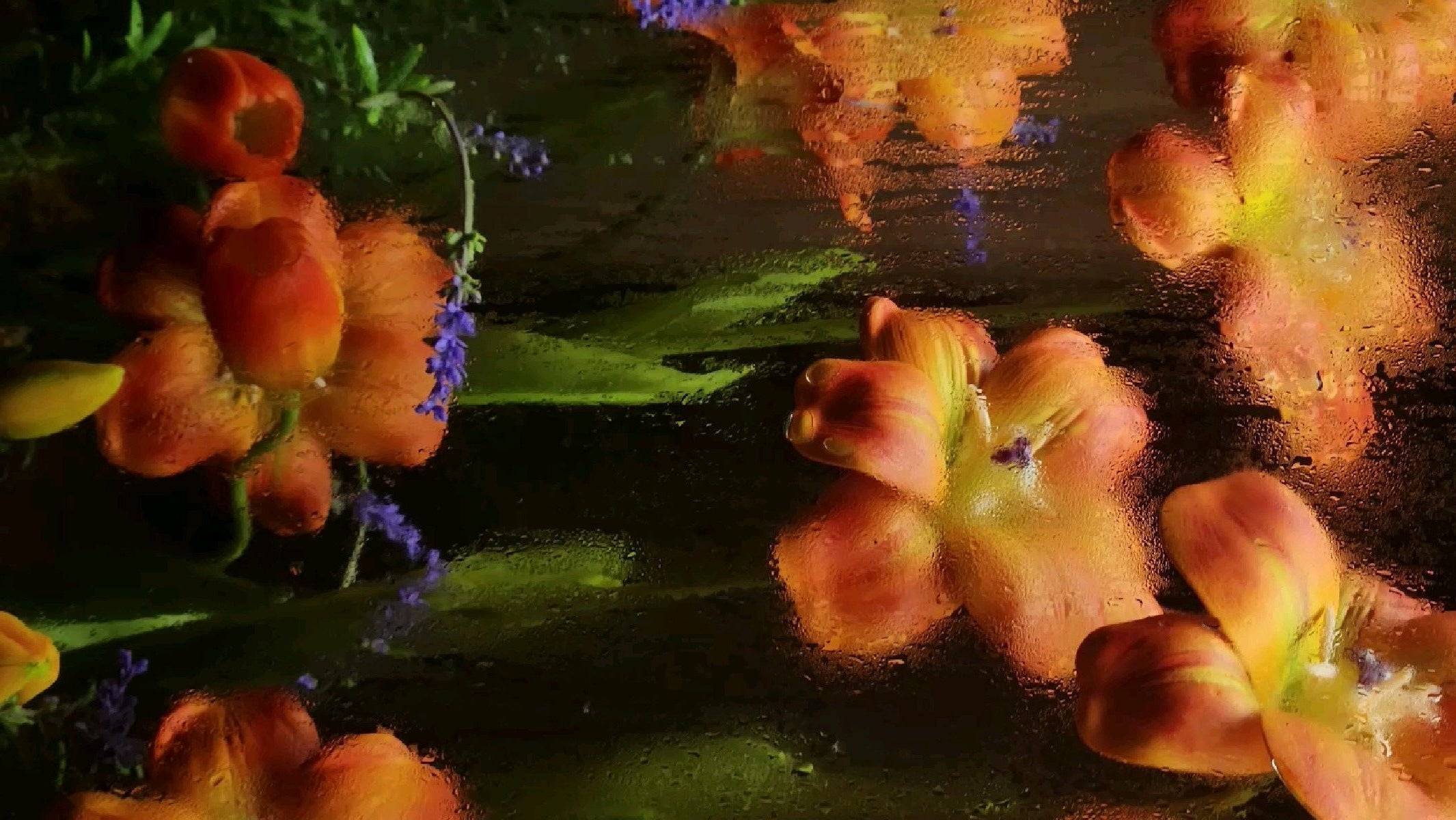 Why We Steep Herbs, Not Brew Them.