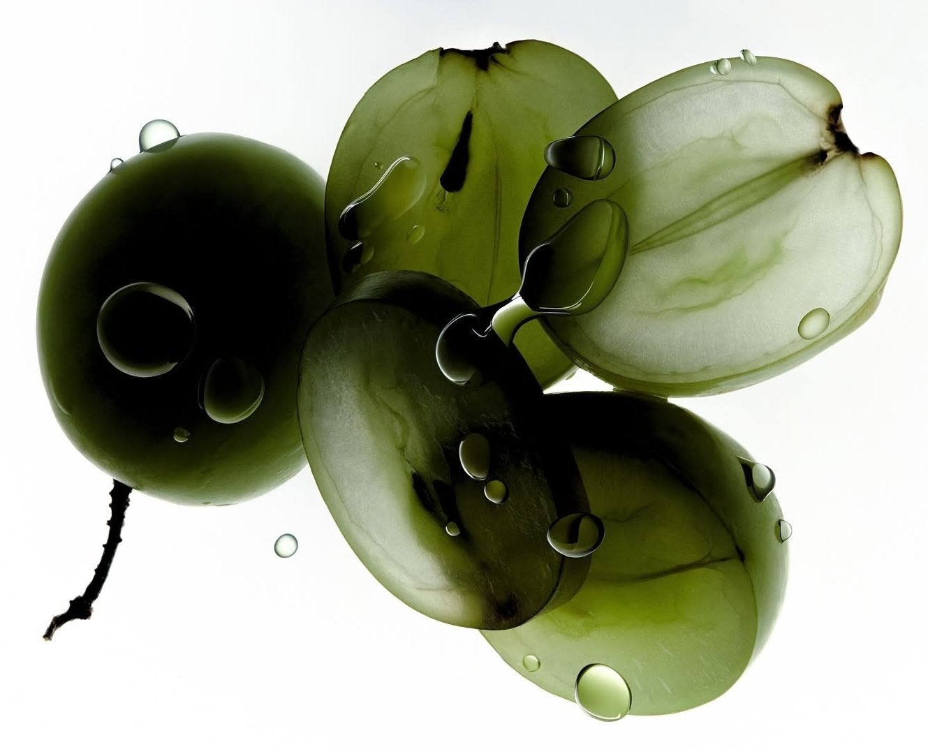 Sugar-Free Isn’t Always Gut-Friendly.