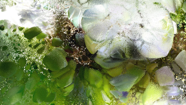 The Ritual of Wind-Down: Why Your Night Matters More Than Your Morning.