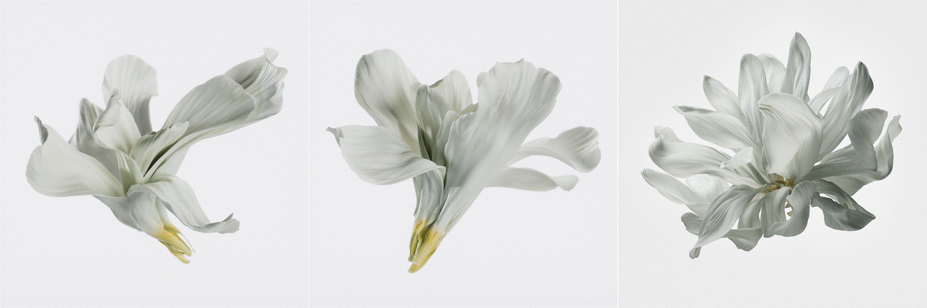 Wind-Down Snacks: What Helps & What Hinders.