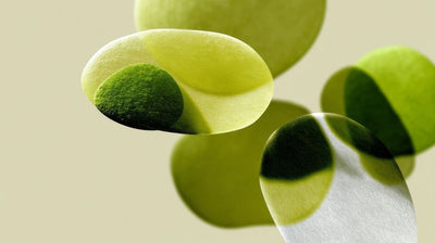 Why The Body Recognizes Food, Not Formulas.