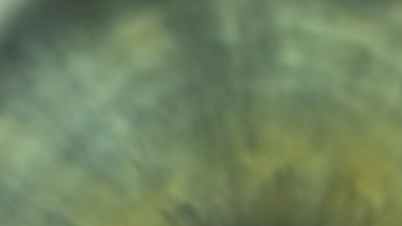 Why Humming Calms The Gut.