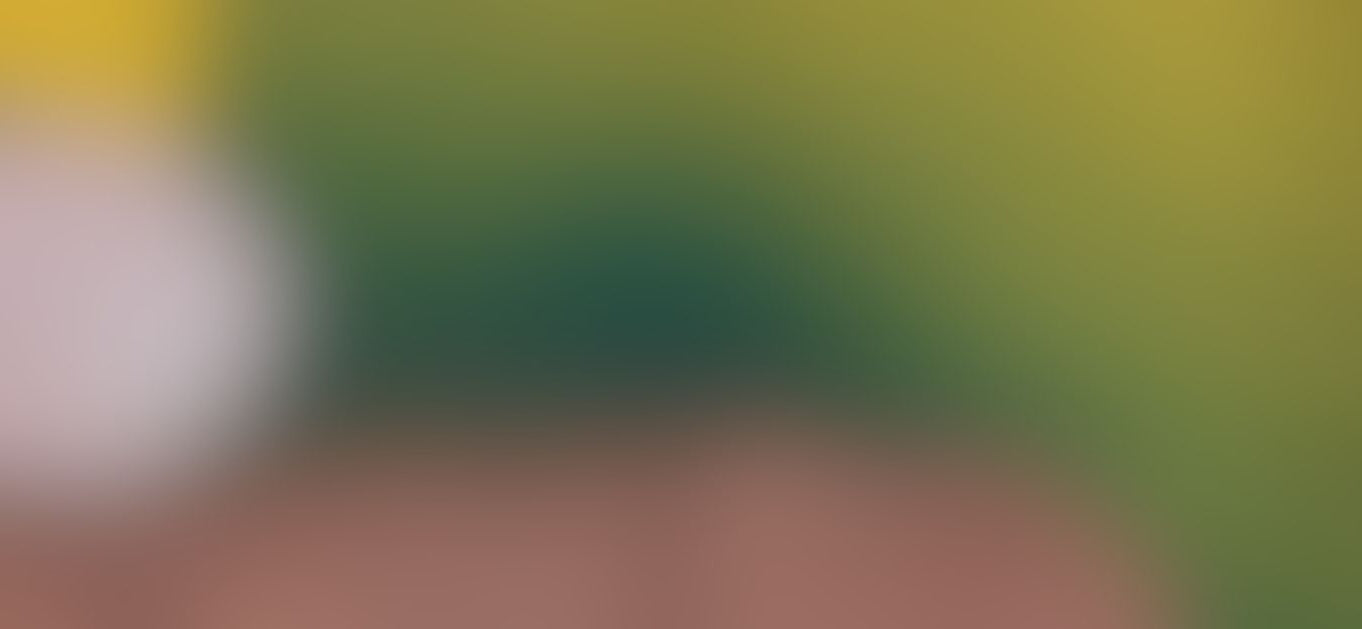 Are We Overdoing Protein?