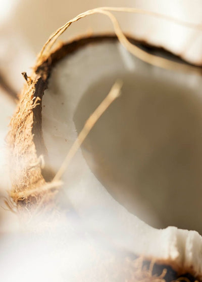 Khopra (Dried Coconut)