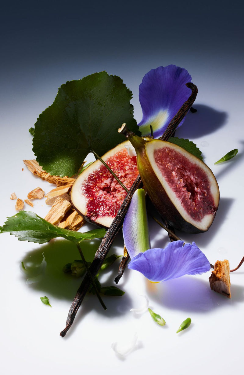 Ingredients Highlight